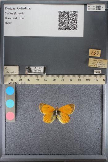 Media type: image;   Entomology 193829